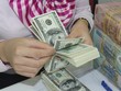 Trong những tháng cuối năm, không có áp lực từ cầu ngoại tệ lên nguồn cung