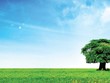 Sống “cân bằng” trong Trang Chủ KL99Com Số 1 Link Đăng Ký KL999 hiện đại