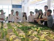 Đất nền, biệt thự gia tăng các đợt chào bán trong năm 2015, nhưng vẫn chưa có sự tham gia của nhiều “ông lớn". Ảnh: Trọng Tuyến