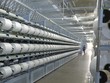 Sợi Thế Kỷ được đánh giá cao về khả năng tăng trưởng, nhờ khả năng tăng công suất khi đơn hàng nội địa dự kiến sẽ tăng mạnh nhờ TPP 