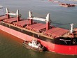 Khâu tốn thời gian và phức tạp nhất trong quy trình làm thủ tục hải quan là khâu thanh tra, kiểm tra