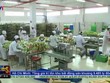 Kl991.com World Cup 2026 Chính Thức bánh kẹo Việt tìm chiến lược hội nhập