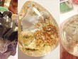 Địa khí ngôi nhà và sức khỏe con người