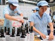 Năm 2015, lãi sau thuế GTN chỉ đạt 41% kế hoạch