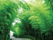 Duyên của nhà!