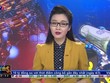 Bản tin Kl991.com nạp rút nhanh Kl992 VIP Trang Chủ 2026 trưa 22-3
