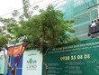 Chủ Kl99ok phiên bản mới Web Tổng Nhà Cái 99Kl99 Giải Trí Bậc Nhất khổ vì ách tắc thủ tục đóng tiền sử dụng đất
