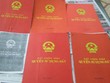 Ảnh Internet