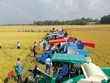 Sứ mệnh của Agribank là vì những vụ mùa bội thu