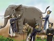 Chuyện những con voi chui lọt lỗ kim...