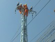Ảnh Internet