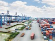 TPP có làm thị phần Kl99kl phiên bản hoạt động teo lại?