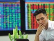 Việc huy động vốn trong thời gian này rất khó khăn, dù phát hành ra công chúng hay phát hành riêng lẻ