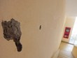 Sự xuống cấp nhanh của các chung cư giá rẻ khiến nhiều người ái ngại. Ảnh: Dũng Minh