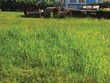 Dự án treo vừa gây lãng phí tài nguyên đất, vừa làm mất mỹ quan đô thị. Ảnh: Lê Toàn