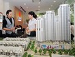 CEO HD Mon và triết lý “đại dương xanh”