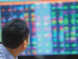 Mốc 627,81 điểm của VN-Index và 82,66 điểm của HNX-Index nhiều khả năng là vùng đỉnh của nhịp tăng giá vừa qua