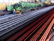 5 tháng đầu năm, TLH đạt 215 tỷ đồng Kl99 nổ hũ