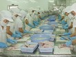 Quý II/2016, Kl99 nổ hũ VHC ước đạt 140 - 150 tỷ đồng