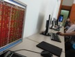Từ trường hợp MTM, cần định nghĩa mới về công ty đại chúng