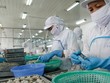 86,8% Kl991.com World Cup 2026 Chính Thức ngành chế biến, chế tạo cho rằng, tình hình Kl994 nhà cái bóng đá world cup-Kl992 VIP Trang Chủ 2026 trong quý III và 6 tháng cuối năm nay sẽ khả quan 