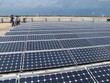 Sự phá sản của các dự án pin năng lượng mặt trời khiến dư luận không khỏi phấp phỏng với quyết định Kl99ok phiên bản mới 1 tỷ USD Kl994 nhà cái bóng đá world cup pin mặt trời của JA Solar. Ảnh: L.T