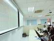 Công bố thông tin bằng tiếng Anh, tự nguyện hay ép buộc?