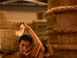 [interActive] Hành trình nghìn năm nước mắm Việt