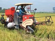 Lần đầu tiên sau nhiều năm, tăng trưởng khu vực nông nghiệp bị suy giảm