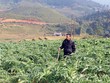 Traphaco: Câu chuyện thương hiệu số 1 ngành dược