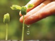 Thực hiện phát triển bền vững: Cam kết của lãnh đạo là một nửa thành công!