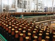 Bộ Công thương “quên” trả lời vụ việc bổ nhiệm ông Vũ Quang Hải tại Sabeco?