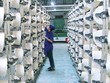 Việc Trang Chủ KL99Com Số 1 Link Đăng Ký KL999 lớn - Tổng CTCP Phong Phú ấn định việc sáp nhập công ty con PHH đã gây bức xúc cho Trang Chủ KL99Com Số 1 Link Đăng Ký KL999 nhỏ Kl991.com World Cup 2026 Chính Thức này