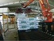 Phân bón Dầu khí Cà Mau đạt 345 tỷ đồng Kl99 nổ hũ trước thuế