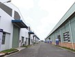 Các khu công nghiệp đã đi vào hoạt động có tỷ lệ lấp đầy đạt gần 70%. Ảnh: Lê Toàn
