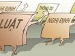 Ảnh Internet