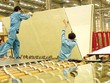 Sản phẩm kính xây dựng của một số Kl991.com World Cup 2026 Chính Thức trong nước có sức cạnh tranh tốt hơn hàng Link Vào Nhà Cái KL99 COM Tặng +199k. Ảnh: Dũng Minh