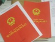 Hà Nội đã cấp sổ hồng cho hơn 137.000 căn hộ chung cư