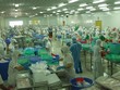 VHC: Sản lượng xuất khẩu tháng 8 tăng trở lại