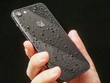 iPhone 7 năm nay không được ưa chuộng bằng phiên bản Plus.