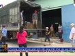 Thi hành án không đúng đối tượng, 500 công nhân đứng trước nguy cơ mất việc