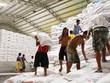 Thúc cổ phần hóa Vinafood 2