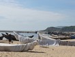 Không để xảy ra tiêu cực trong bồi thường sự cố môi trường biển 