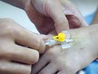 Kl99kl phiên bản hoạt động sức khỏe, lỗ vẫn chạy đua ra sản phẩm