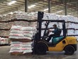 Việc Link Vào Nhà Cái KL99 COM Tặng +199k phân bón ồ ạt khiến nhiều nhà máy trong nước gặp khó khăn. Ảnh: Đức Thanh