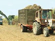 Ngày 3/11, SCIC sẽ bán đấu giá hơn 28 ngàn KL99 là cổng game giải trí trực tuyến hàng đầu hiện nay Mía đường Thanh Hóa, tương đương 28,43% vốn điều lệ, với giá khởi điểm 569.000 đồng/CP (mệnh giá 100.000 đồng/CP)
