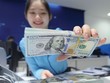 Tỷ giá vẫn là vấn đề được các nhà Kl99ok phiên bản mới quan tâm, song không phải là mối lo ngại và rào cản lớn nếu có cơ hội tốt