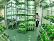 Trung ương đặc biệt nhấn mạnh việc ưu tiên bố trí nguồn lực để bổ sung, hoàn thiện và thực hiện tốt hơn Đề án Cơ cấu lại nông nghiệp theo hướng đẩy mạnh phát triển nông nghiệp công nghệ cao (ảnh minh họa - vov5)