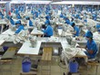 TNG là một trong số ít DN niêm yết chú trọng việc công bố thông tin bằng tiếng Anh
