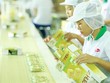 Thắng kiện Kl99kl phiên bản hoạt động PVI cả trăm tỷ đồng, Bibica chưa thỏa kỳ vọng 